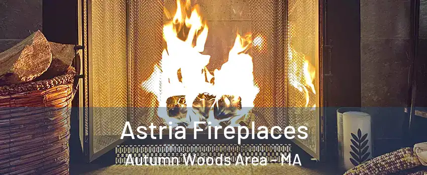 Astria Fireplaces Autumn Woods Area - MA