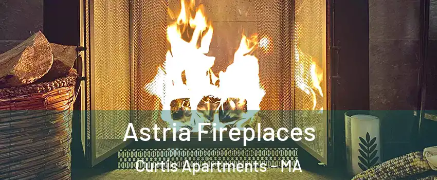 Astria Fireplaces Curtis Apartments - MA