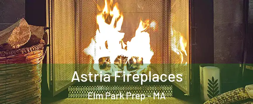 Astria Fireplaces Elm Park Prep - MA