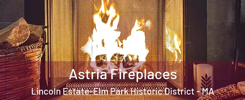 Astria Fireplaces Lincoln Estate-Elm Park Historic District - MA