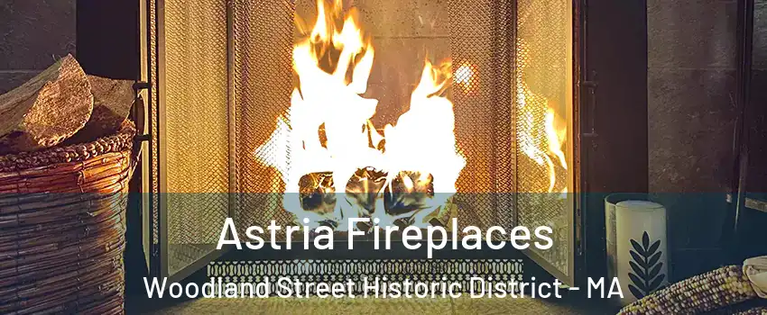 Astria Fireplaces Woodland Street Historic District - MA