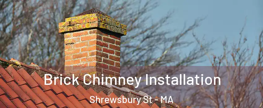 Brick Chimney Installation Shrewsbury St - MA