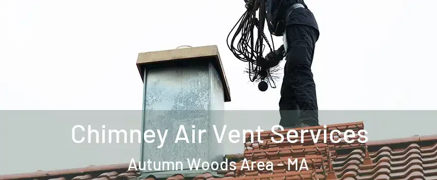 Chimney Air Vent Services Autumn Woods Area - MA