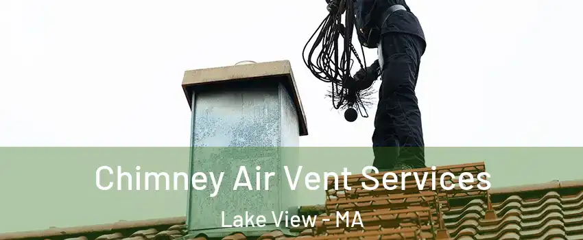 Chimney Air Vent Services Lake View - MA