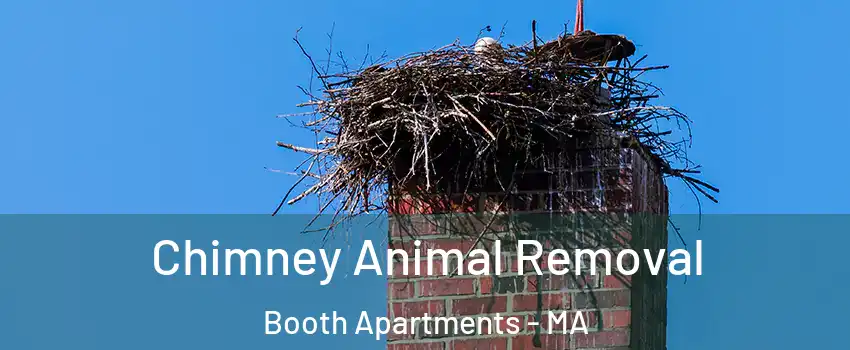 Chimney Animal Removal Booth Apartments - MA