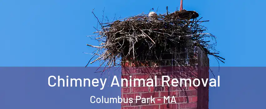 Chimney Animal Removal Columbus Park - MA