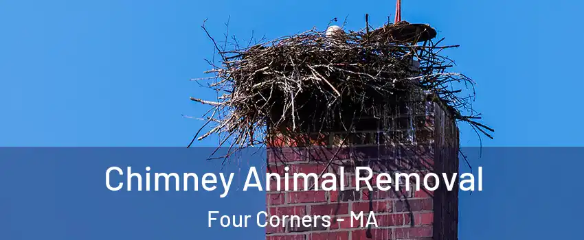 Chimney Animal Removal Four Corners - MA