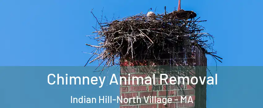 Chimney Animal Removal Indian Hill-North Village - MA