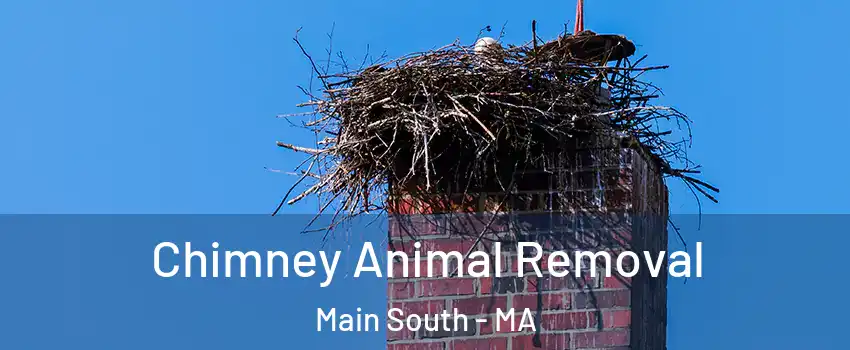 Chimney Animal Removal Main South - MA