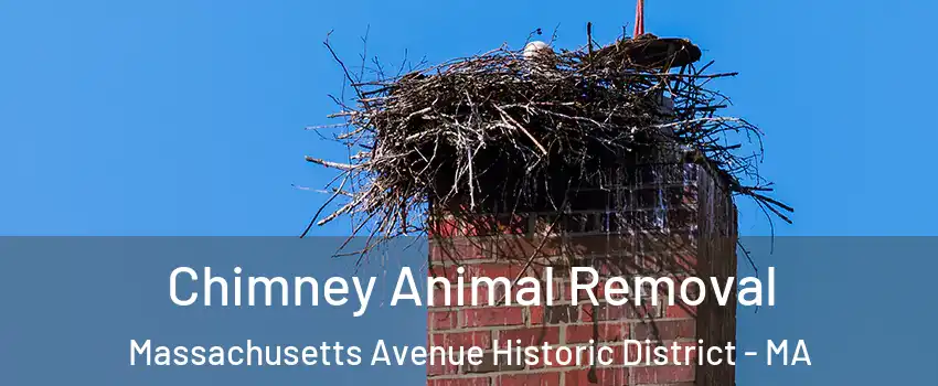 Chimney Animal Removal Massachusetts Avenue Historic District - MA