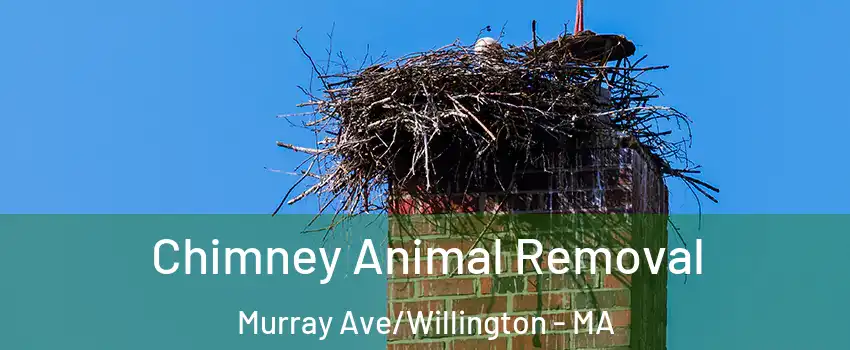 Chimney Animal Removal Murray Ave/Willington - MA