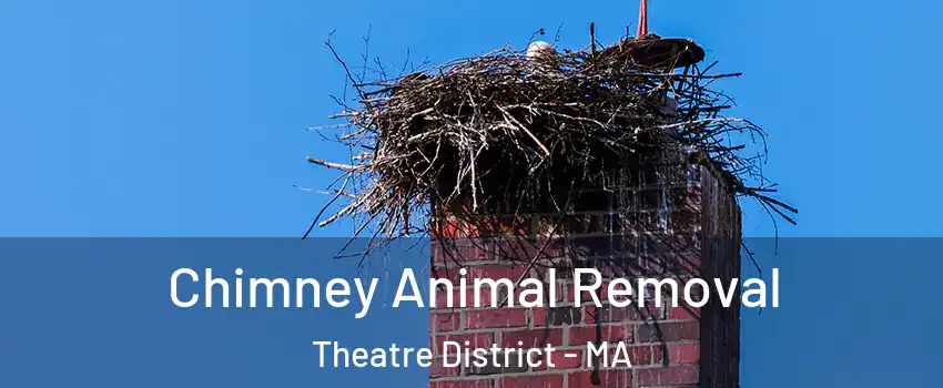 Chimney Animal Removal Theatre District - MA