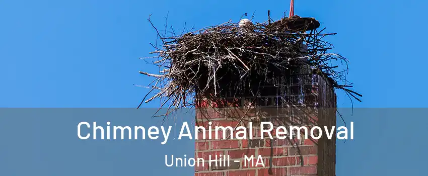 Chimney Animal Removal Union Hill - MA