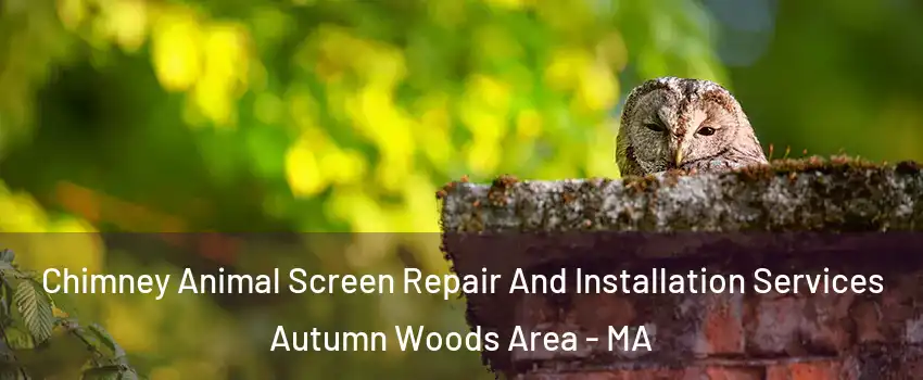 Chimney Animal Screen Repair And Installation Services Autumn Woods Area - MA