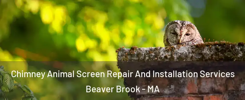 Chimney Animal Screen Repair And Installation Services Beaver Brook - MA