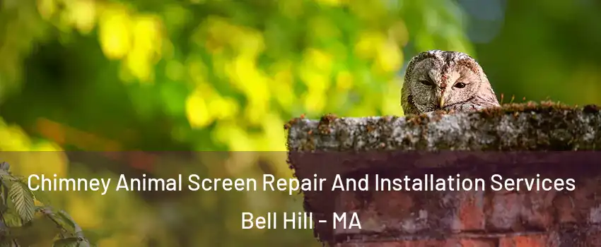 Chimney Animal Screen Repair And Installation Services Bell Hill - MA