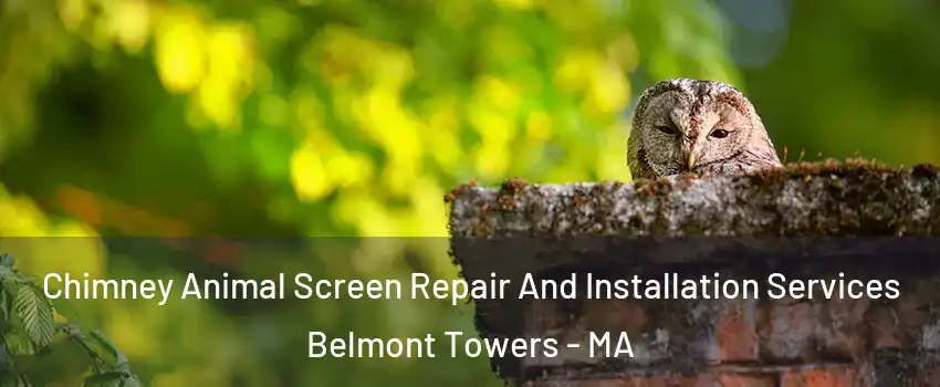 Chimney Animal Screen Repair And Installation Services Belmont Towers - MA