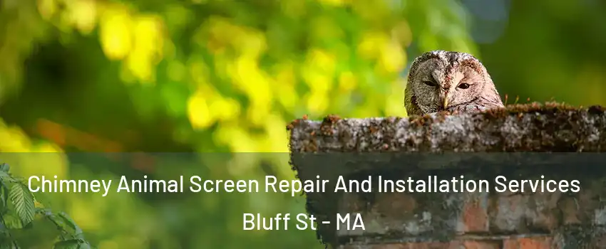 Chimney Animal Screen Repair And Installation Services Bluff St - MA