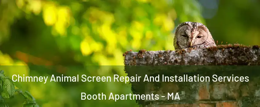 Chimney Animal Screen Repair And Installation Services Booth Apartments - MA