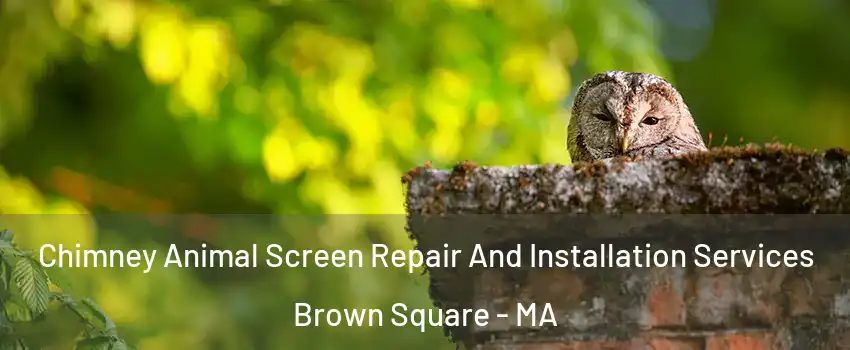 Chimney Animal Screen Repair And Installation Services Brown Square - MA