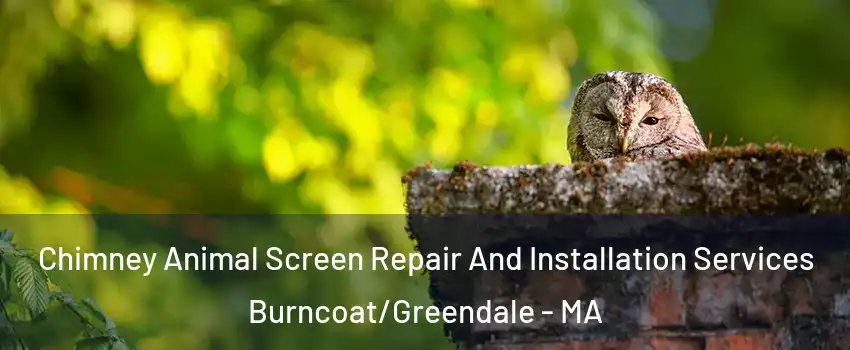 Chimney Animal Screen Repair And Installation Services Burncoat/Greendale - MA