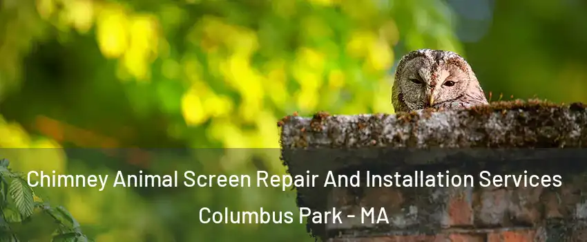 Chimney Animal Screen Repair And Installation Services Columbus Park - MA