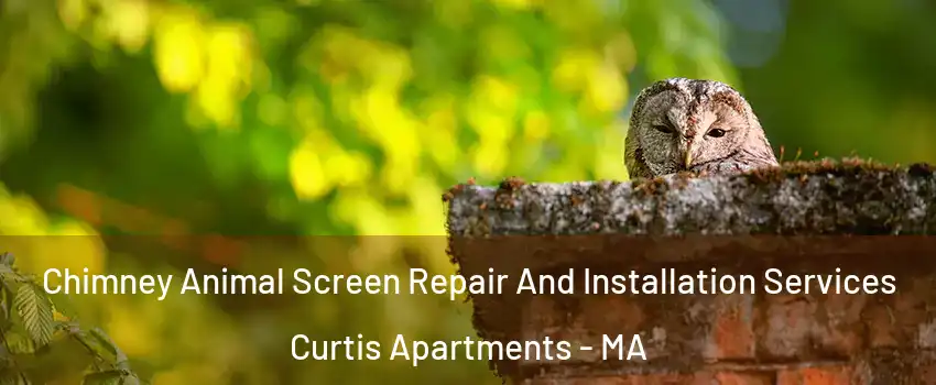 Chimney Animal Screen Repair And Installation Services Curtis Apartments - MA