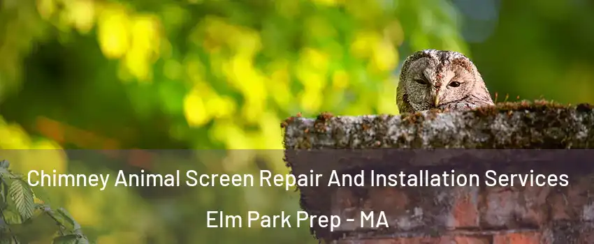 Chimney Animal Screen Repair And Installation Services Elm Park Prep - MA