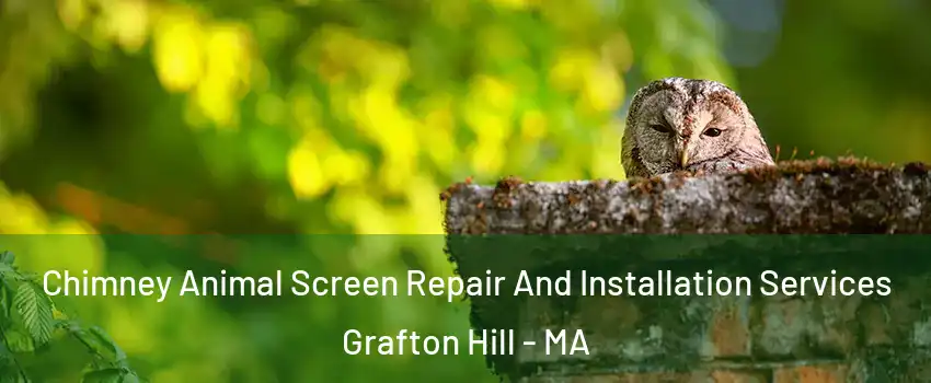 Chimney Animal Screen Repair And Installation Services Grafton Hill - MA