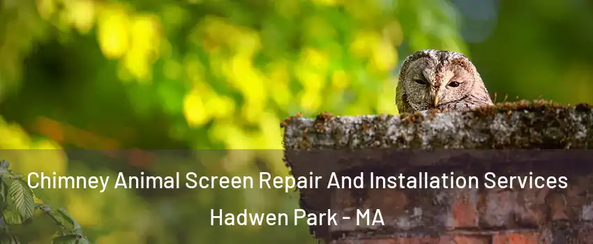 Chimney Animal Screen Repair And Installation Services Hadwen Park - MA