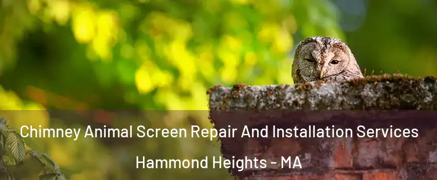 Chimney Animal Screen Repair And Installation Services Hammond Heights - MA