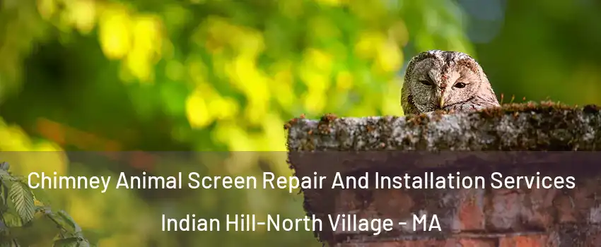 Chimney Animal Screen Repair And Installation Services Indian Hill-North Village - MA