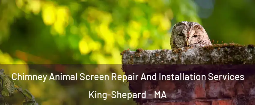 Chimney Animal Screen Repair And Installation Services King-Shepard - MA