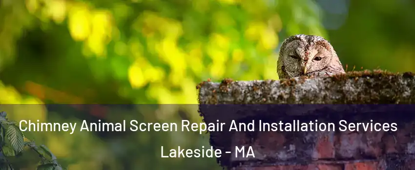 Chimney Animal Screen Repair And Installation Services Lakeside - MA