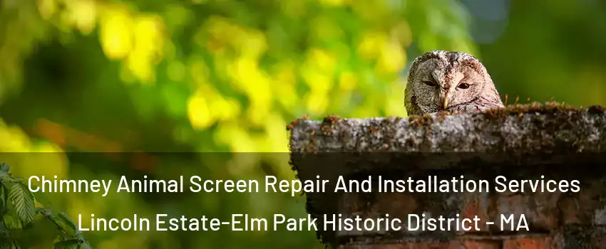 Chimney Animal Screen Repair And Installation Services Lincoln Estate-Elm Park Historic District - MA