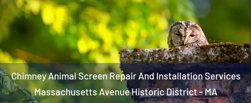 Chimney Animal Screen Repair And Installation Services Massachusetts Avenue Historic District - MA