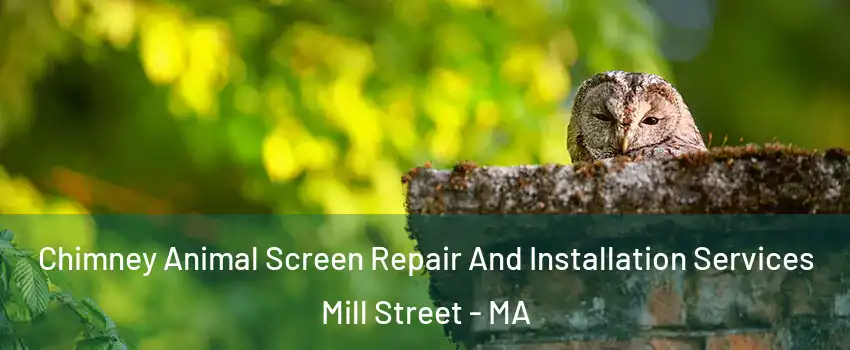 Chimney Animal Screen Repair And Installation Services Mill Street - MA