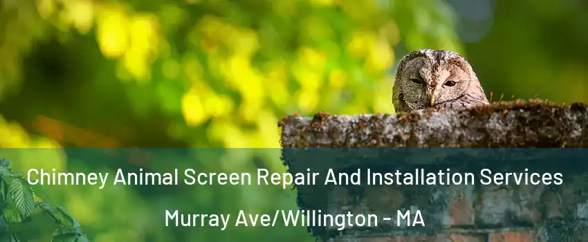 Chimney Animal Screen Repair And Installation Services Murray Ave/Willington - MA