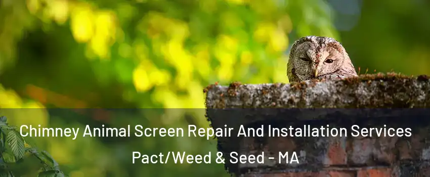 Chimney Animal Screen Repair And Installation Services Pact/Weed & Seed - MA