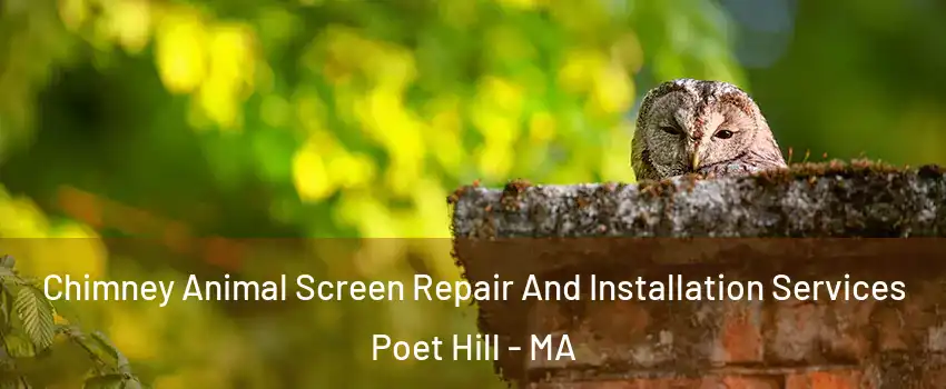 Chimney Animal Screen Repair And Installation Services Poet Hill - MA