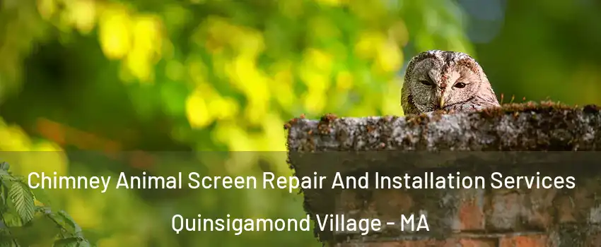 Chimney Animal Screen Repair And Installation Services Quinsigamond Village - MA