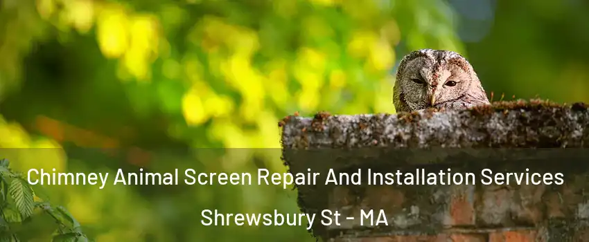 Chimney Animal Screen Repair And Installation Services Shrewsbury St - MA