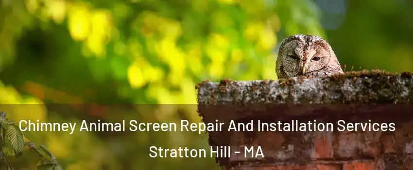 Chimney Animal Screen Repair And Installation Services Stratton Hill - MA