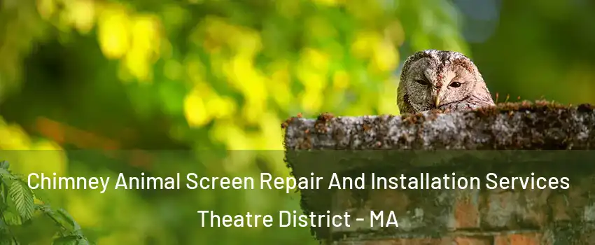 Chimney Animal Screen Repair And Installation Services Theatre District - MA