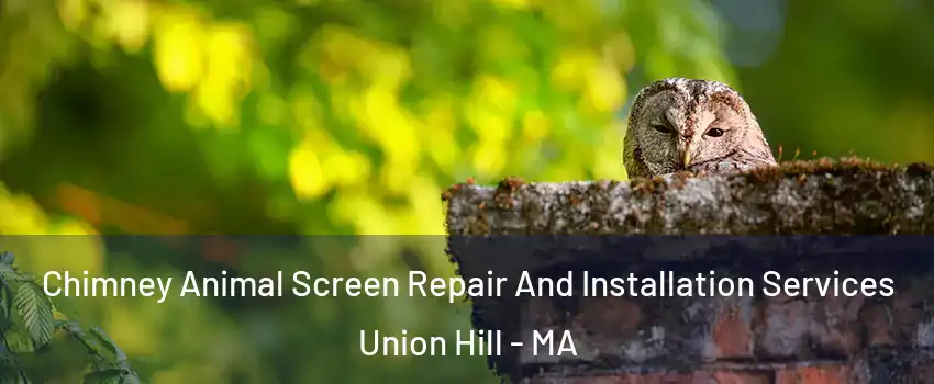 Chimney Animal Screen Repair And Installation Services Union Hill - MA