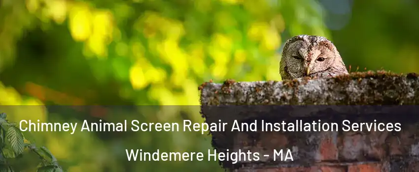 Chimney Animal Screen Repair And Installation Services Windemere Heights - MA