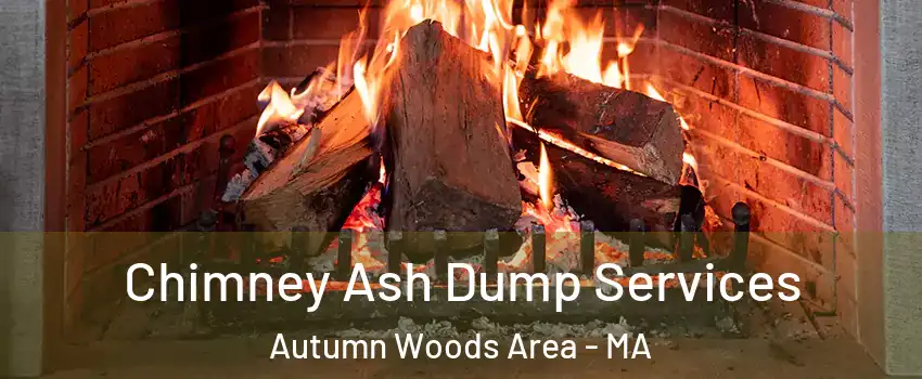 Chimney Ash Dump Services Autumn Woods Area - MA