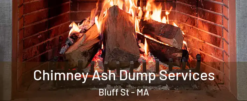 Chimney Ash Dump Services Bluff St - MA