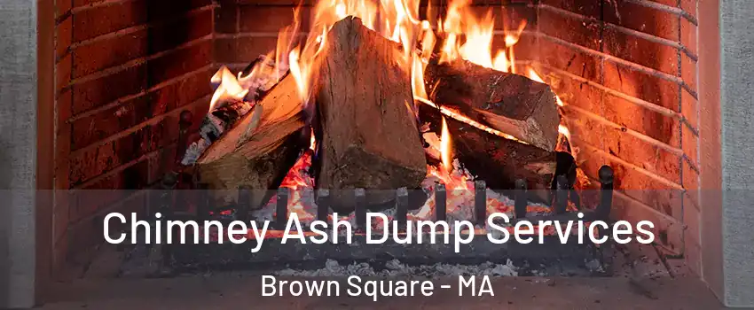 Chimney Ash Dump Services Brown Square - MA