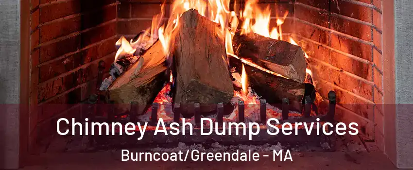 Chimney Ash Dump Services Burncoat/Greendale - MA